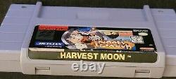 Harvest Moon Super Nintendo SNES 1997 AUTHENTIC, good condition with plastic case