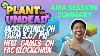 Plant Vs Undead Ama Résumé De La Séance Ferme 3 0 Et Pvp Fac Blockchain Jeux Tagalog
